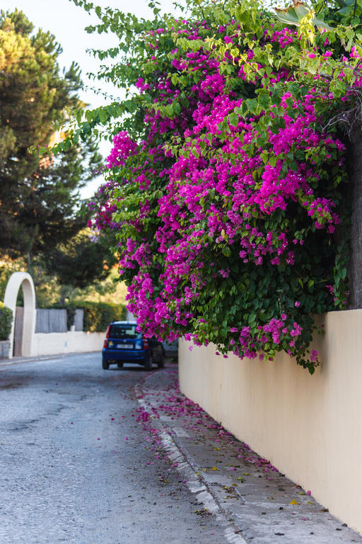 Sechi Aparthotel Marbella Estepona Exterior photo